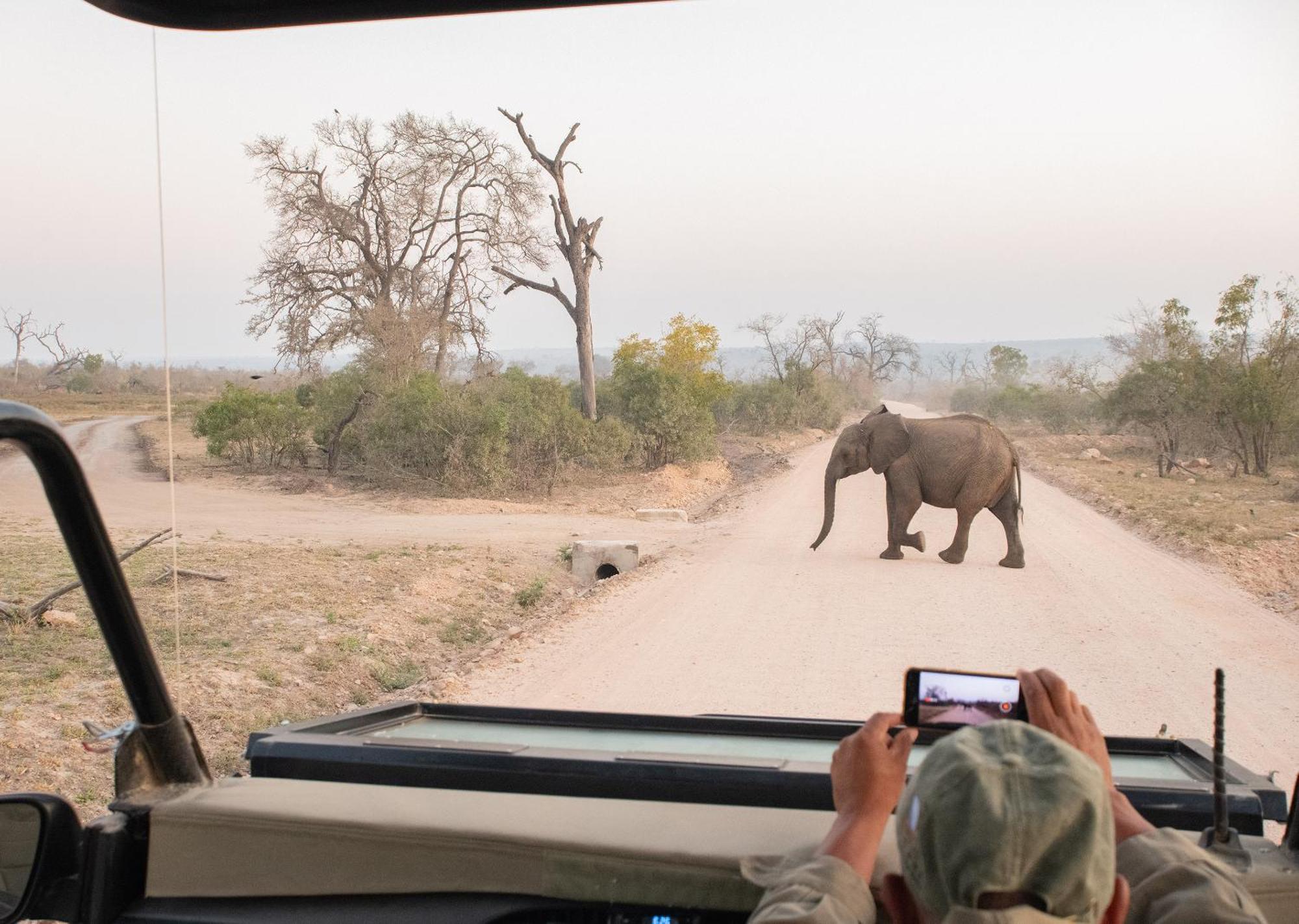 Mjejane Bush Camp By Dream Resorts Hectorspruit Extérieur photo