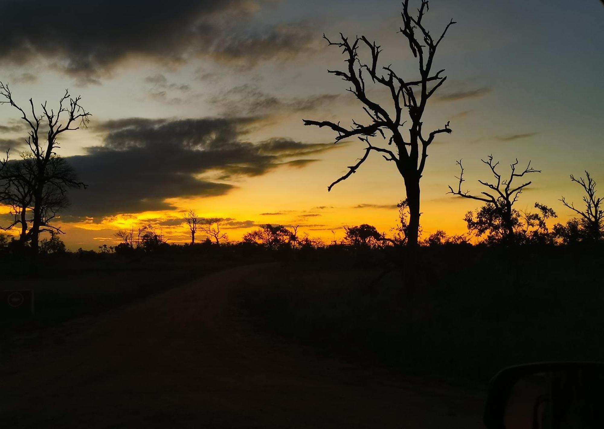Mjejane Bush Camp By Dream Resorts Hectorspruit Extérieur photo