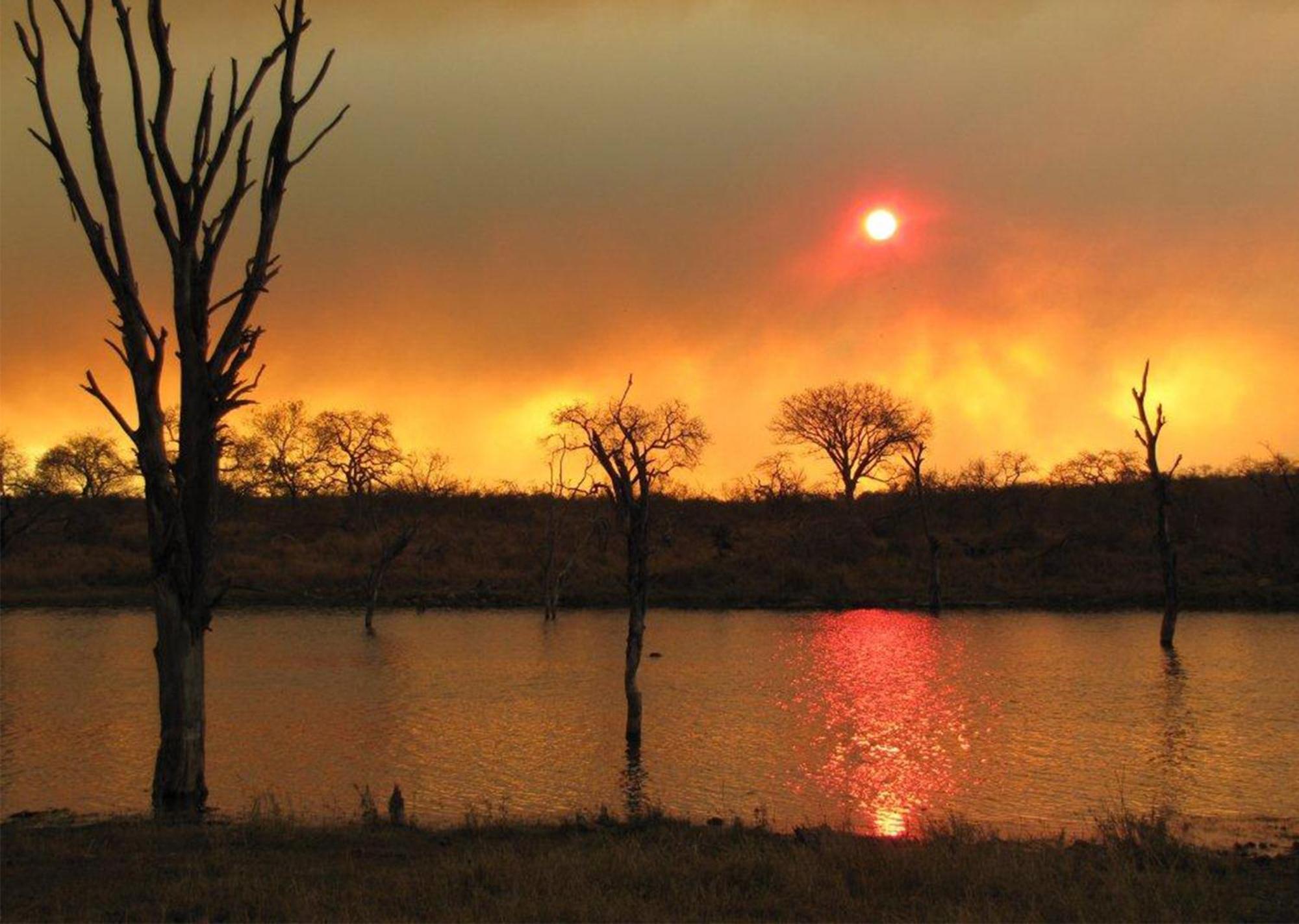 Mjejane Bush Camp By Dream Resorts Hectorspruit Extérieur photo