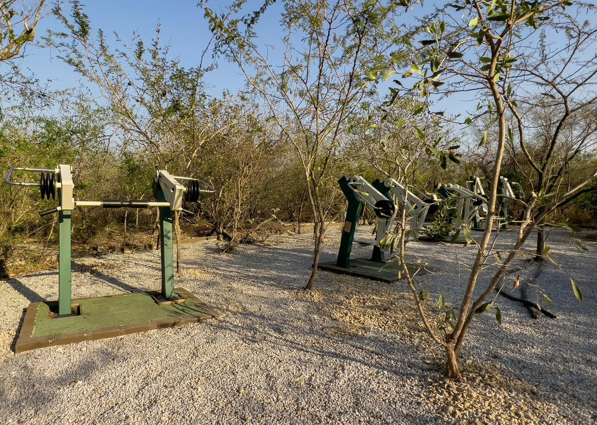 Mjejane Bush Camp By Dream Resorts Hectorspruit Extérieur photo
